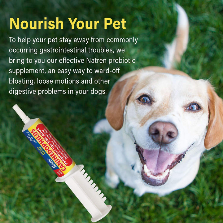 Natren - Caninedophilus For Dogs (20ml)