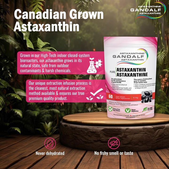 Gandalf - Astaxanthin 4mg, 60 Vcaps - Gandalf