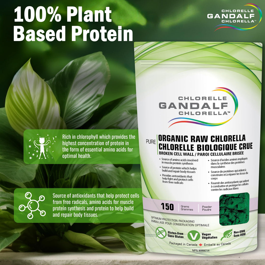Gandalf - Chlorella Organic, 150 g powder - Gandalf