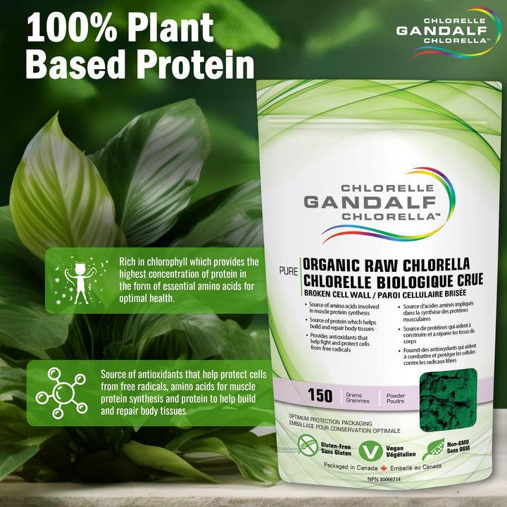 Gandalf - Chlorella Organic, 150 g powder - Gandalf