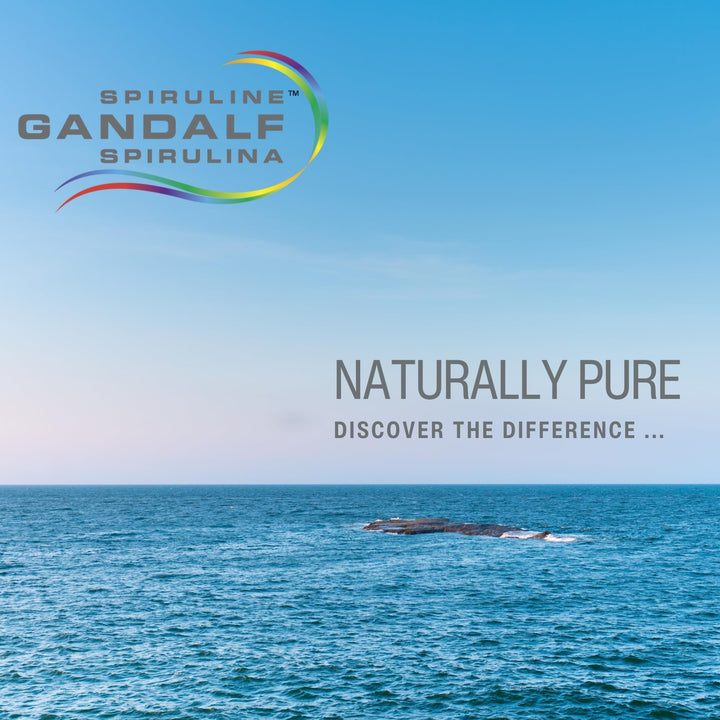 Gandalf - Hawaiian Spirulina 1000mg, 60 tabs - Gandalf