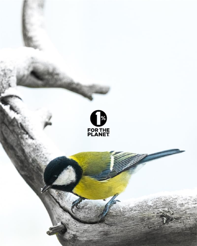 Homeocan - Natrum Phosphoricum 6X (125tab 12)