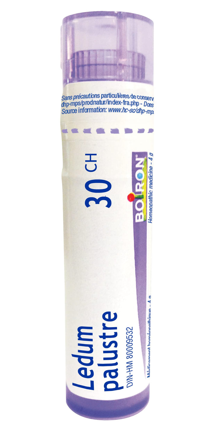 Homeocan - Ledum Palustre 30C (4g 1)