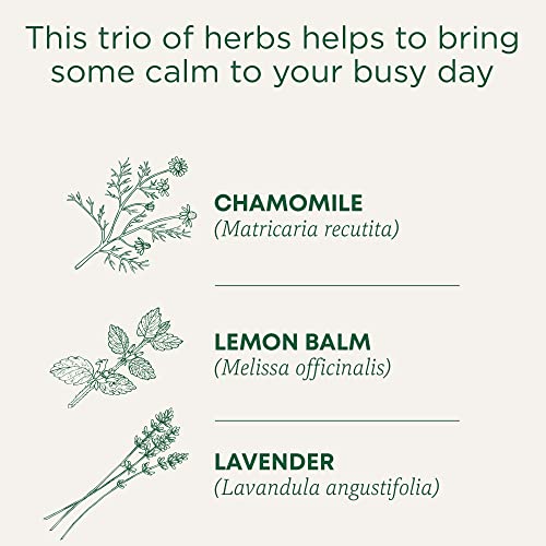 Organic Chamomile With Lavender - Image 5