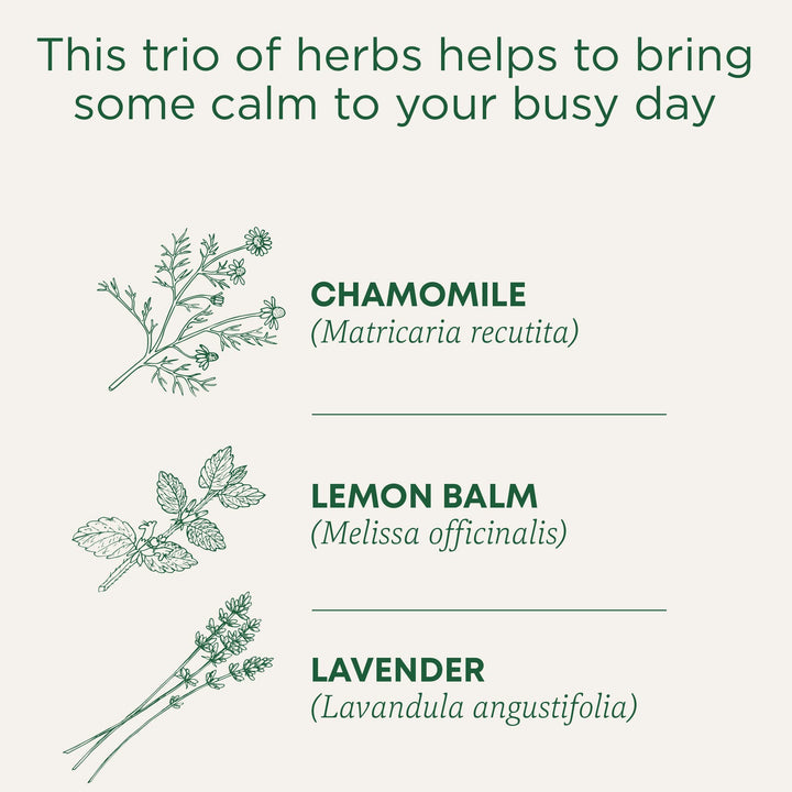 Organic Chamomile With Lavender - Image 4