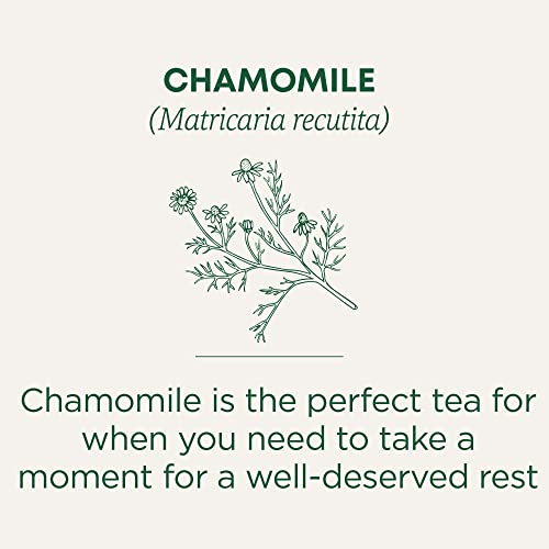 Organic Chamomile - Image 5