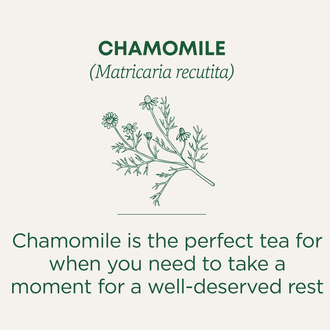 Organic Chamomile - Image 4