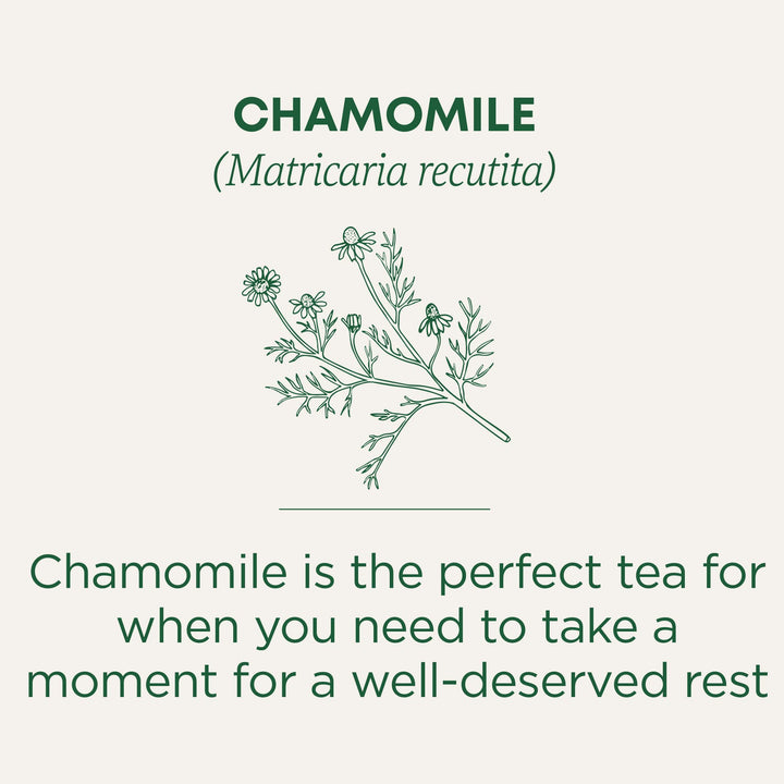 Organic Chamomile - Image 4