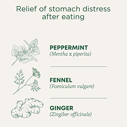 Belly Comfort Peppermint - Image 5