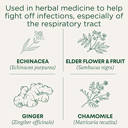Organic Echinacea Plus Elderberry - Image 5