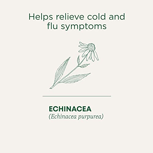 Organic Echinacea Plus - Image 5