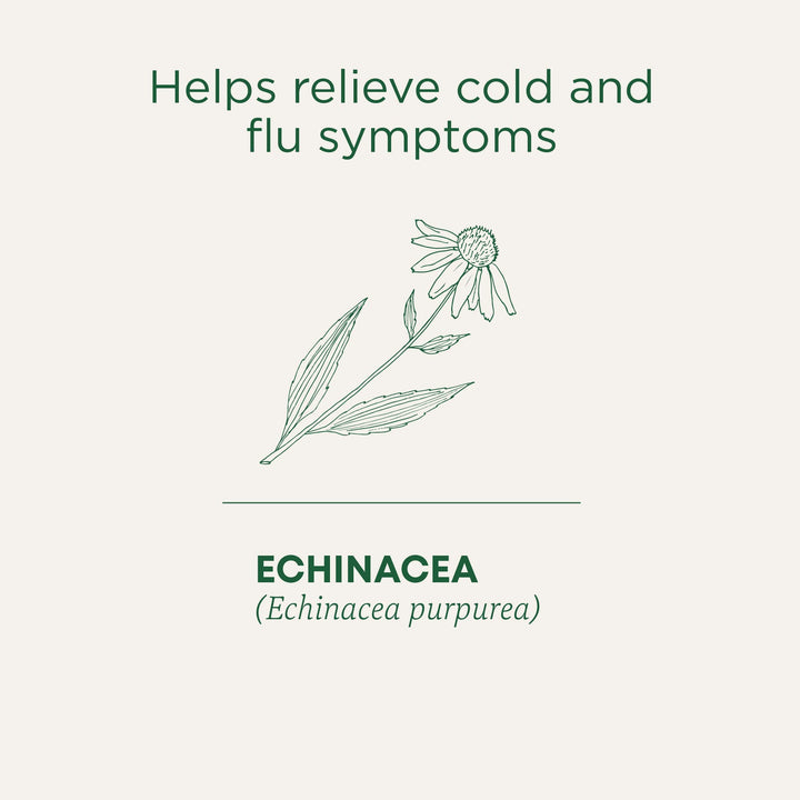 Organic Echinacea Plus - Image 4