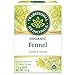 Organic Fennel - Image 3