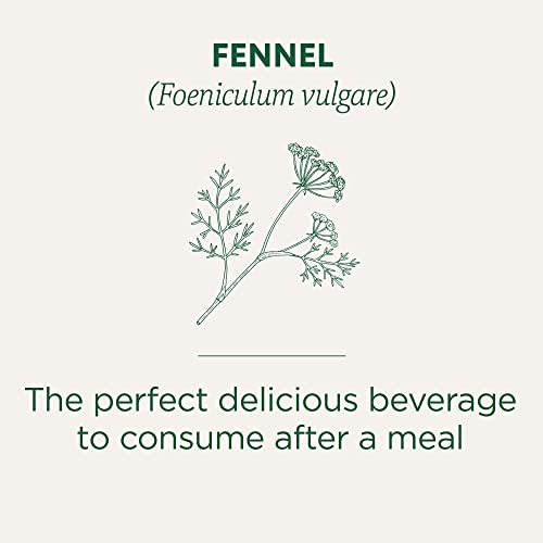 Organic Fennel - Image 5