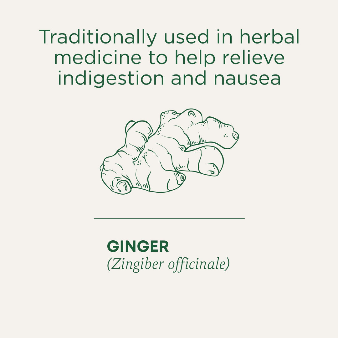 Organic Ginger Aid - Image 4