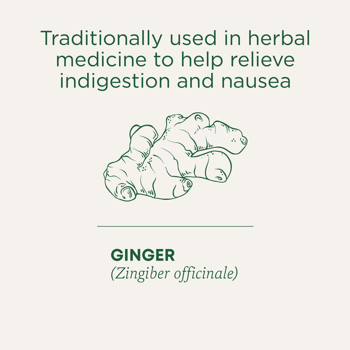 Organic Ginger Aid - Image 4