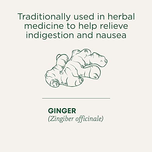 Organic Ginger Aid - Image 5