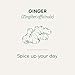 Organic Ginger - Image 5