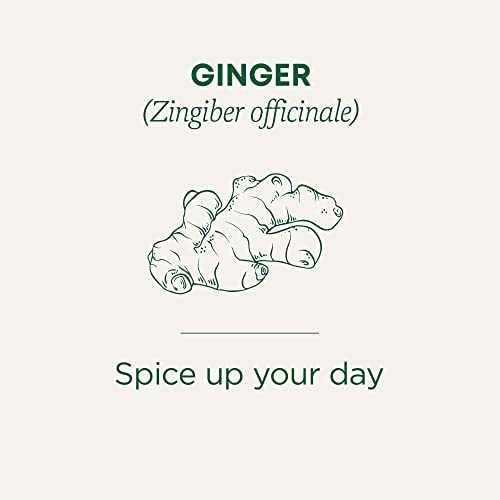 Organic Ginger - Image 4