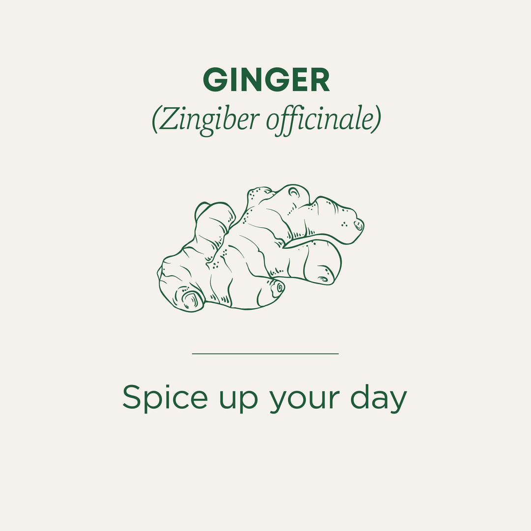 Organic Ginger - Image 6