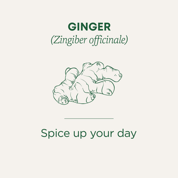Organic Ginger - Image 6