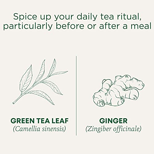 Organic Green Tea Ginger - Image 5