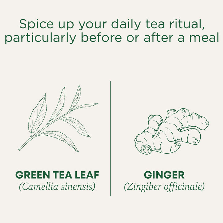 Organic Green Tea Ginger - Image 4