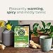 Organic Green Tea Ginger - Image 9