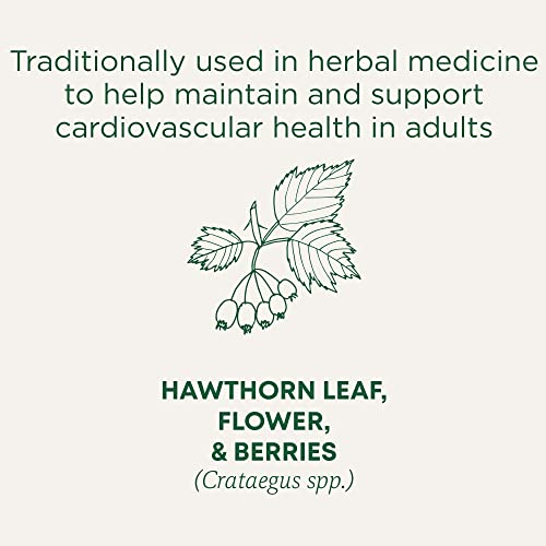 Organic Hawthorn With Hibiscus - Image 4