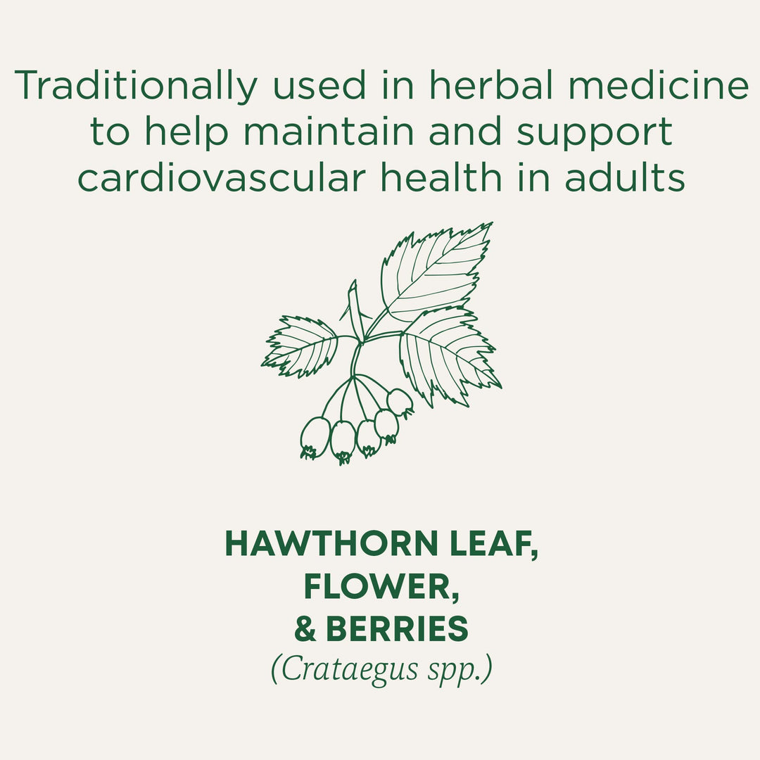 Organic Hawthorn With Hibiscus - Image 6