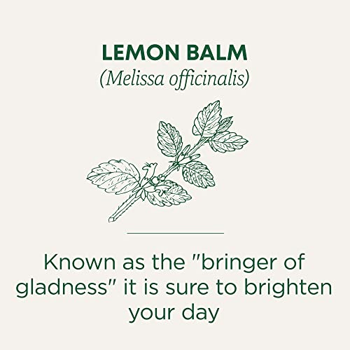 Organic Lemon Balm - Image 4
