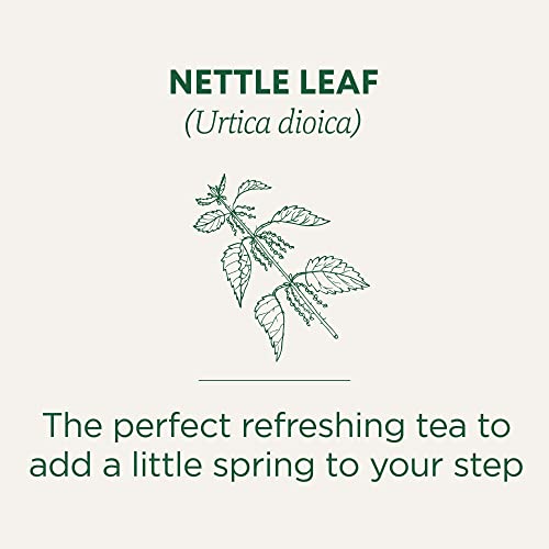 Organic Nettle Leaf - Image 5