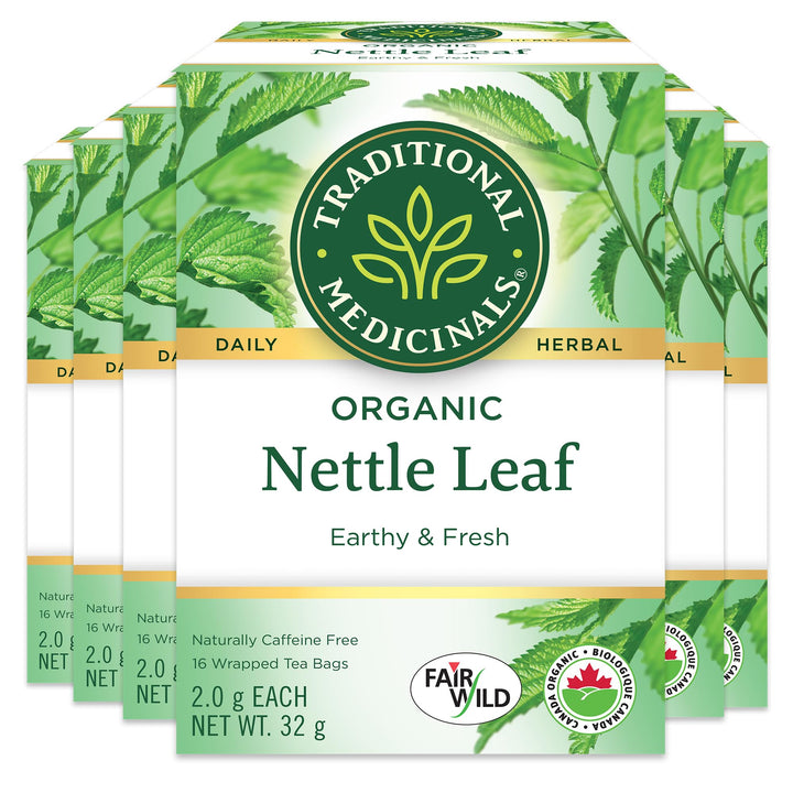 Organic Nettle Leaf - Image 1