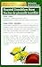 Organic Roasted Dandelion Root - Image 9