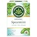 Organic Spearmint - Image 5
