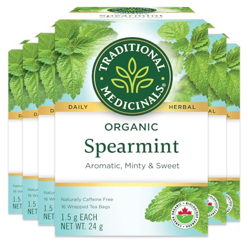 Organic Spearmint - Image 1