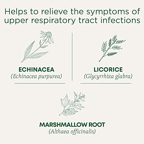 Throat Coat Lemon Echinacea - Image 4