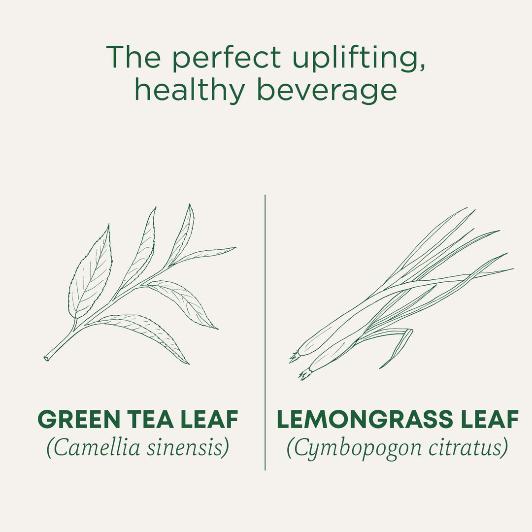 Organic Green Tea Matcha - Image 4