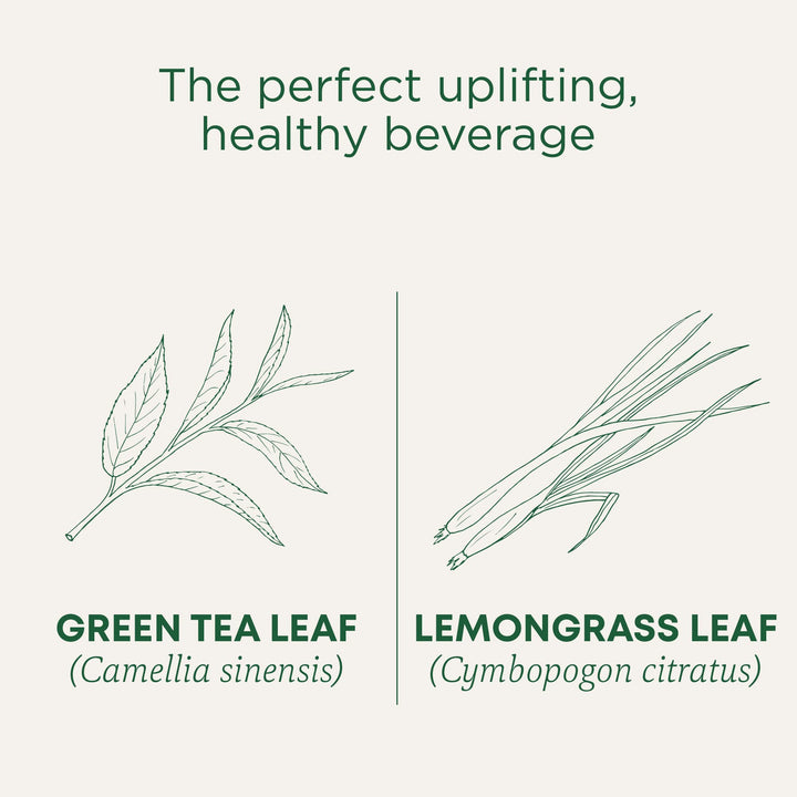 Organic Green Tea Matcha - Image 4