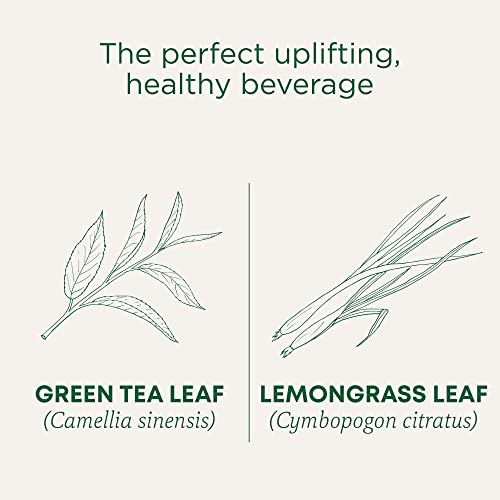 Organic Green Tea Matcha - Image 5