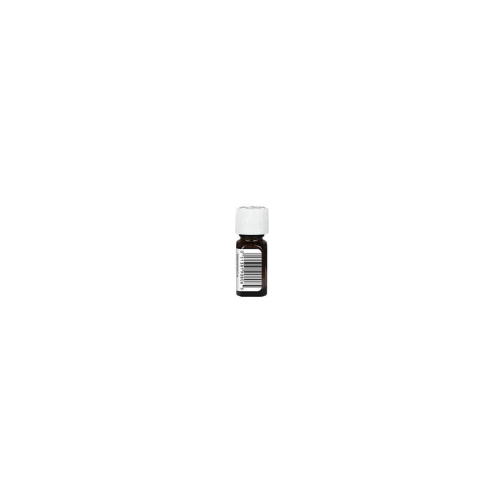 Rosemary Oil - Image 10