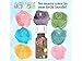 Boxed Essential Oil - Sweet Orange - Image 5