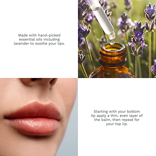Lip Balm Refill Pod - Vanilla - Image 8
