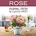Multi-Surface Cleaner - Rose - Image 8
