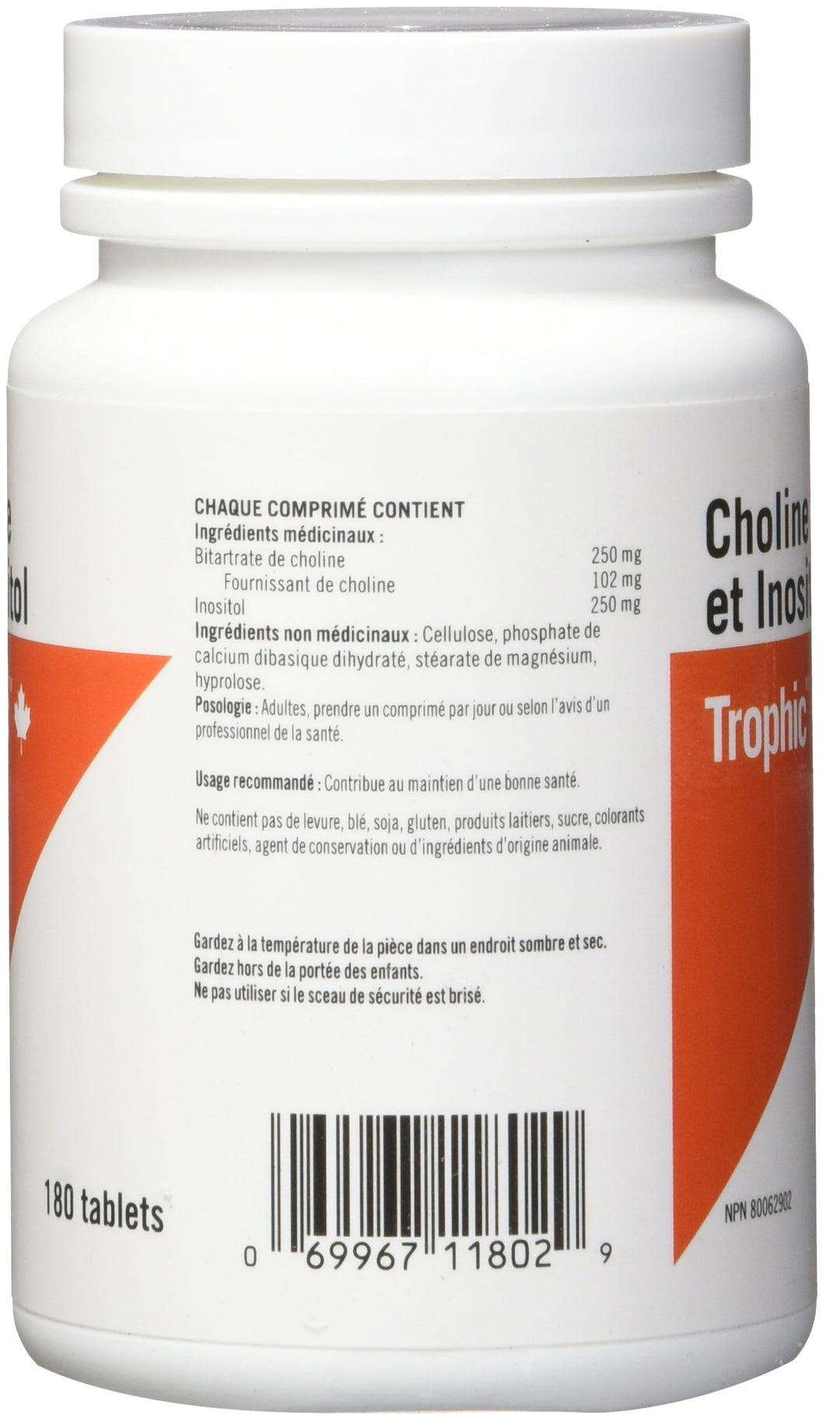 Choline & Inositol - Image 4