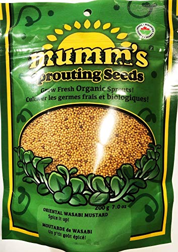 Oriental Wasabi Mustard - Image 2