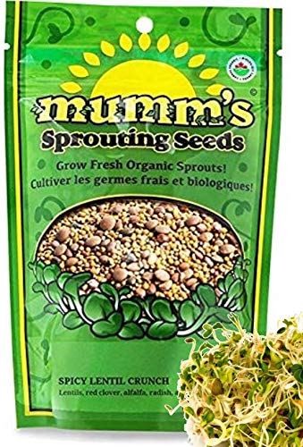 Spicy Lentil Crunch - Image 2