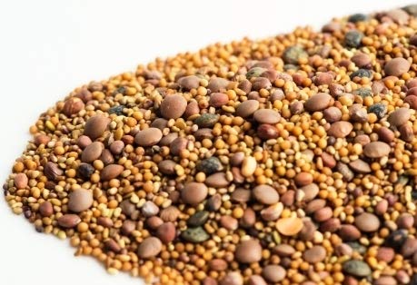 Spicy Lentil Crunch - Image 6