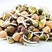 Crunchy Bean Mix - Image 10