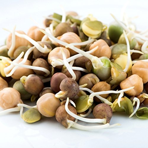 Crunchy Bean Mix - Image 9